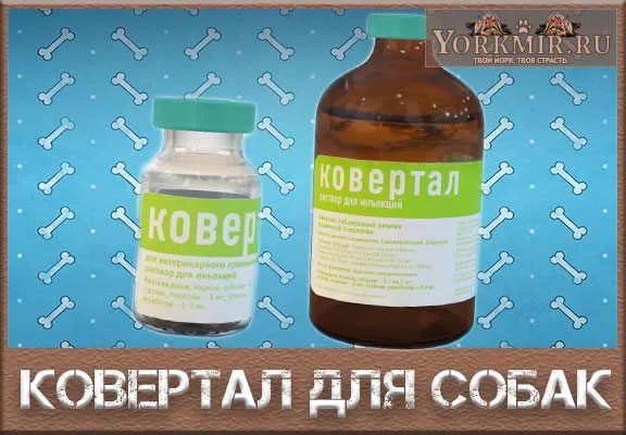 Ковертал для собак, інструкція із застосування, ціна, відгуки (собак) Ковертал для собак, інструкція із застосування, ціна, відгуки