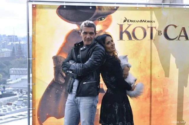Кіт у чоботях антонио бандерас і сальма хайек в москві (24 фото текст відео), релаксік (бандерас) Кіт у чоботях антонио бандерас і сальма хайек в москві (24 фото текст відео), релаксік