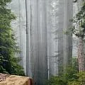 Купити готові штори для залу з балконом недорого - великий каталог, фото, ціни від 3400 руб, (балконом) Купити готові штори для залу з балконом недорого - великий каталог, фото, ціни від 3400 руб,
