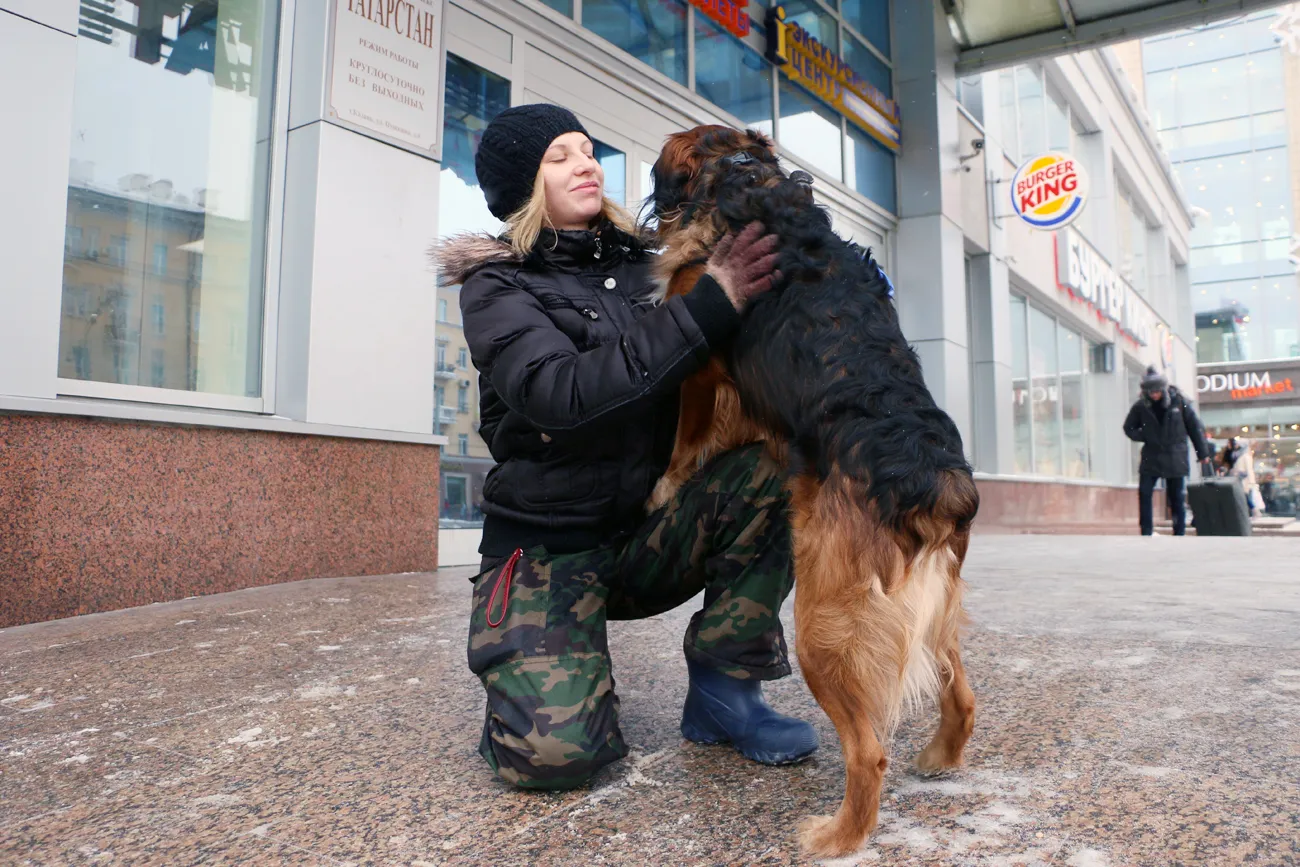Куди в Казані пускають з великими вихованцями собака тестує метро, таксі, кафе і готель (казани) Куди в Казані пускають з великими вихованцями собака тестує метро, таксі, кафе і готель