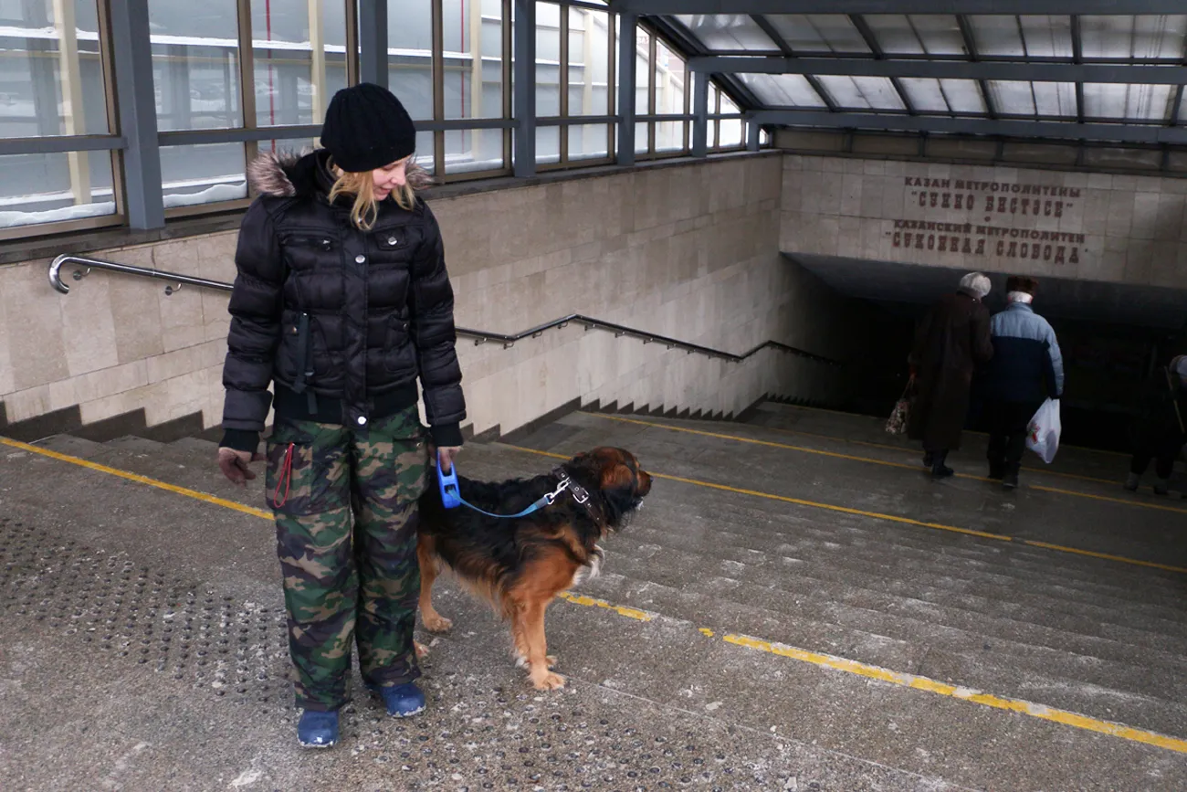 Куди в Казані пускають з великими вихованцями собака тестує метро, таксі, кафе і готель (куди) Куди в Казані пускають з великими вихованцями собака тестує метро, таксі, кафе і готель