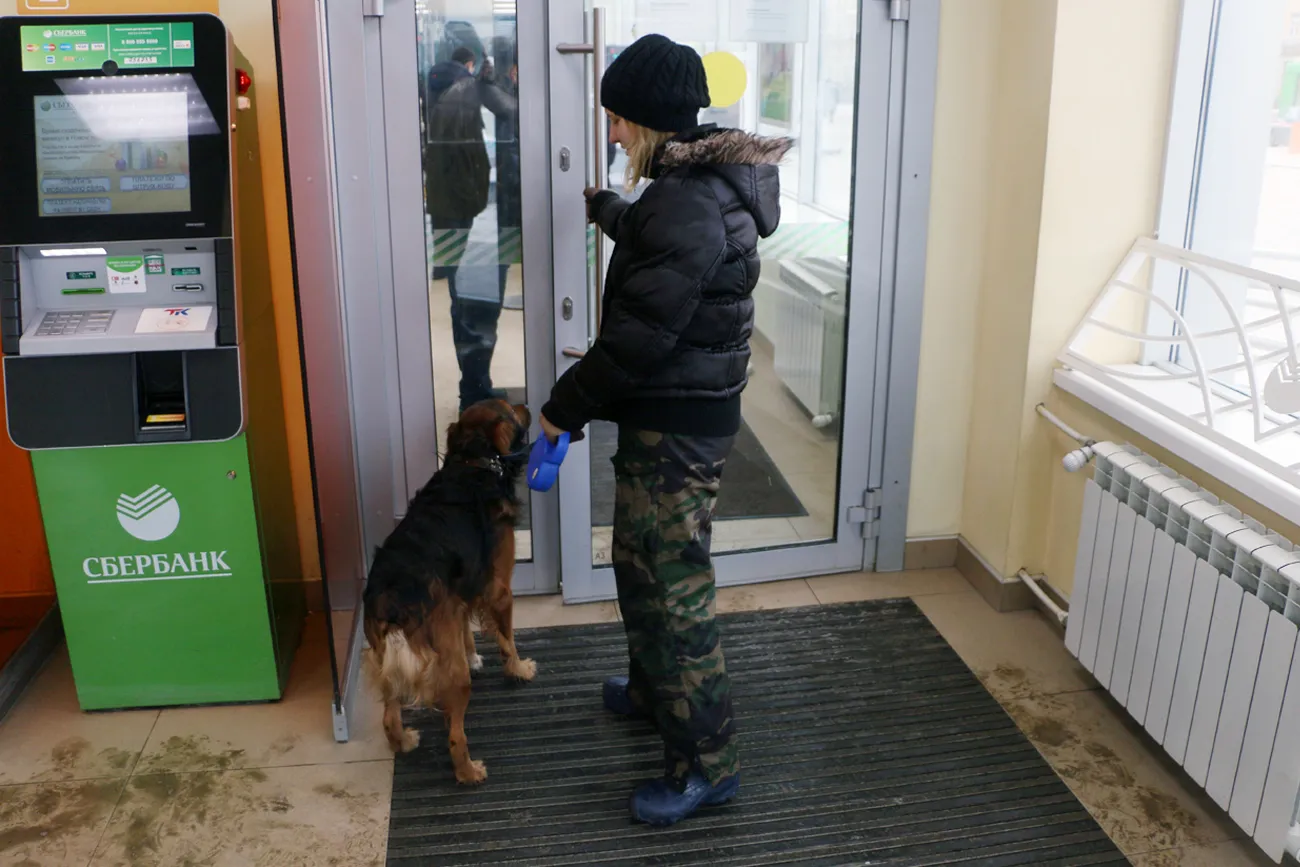 Куди в Казані пускають з великими вихованцями собака тестує метро, таксі, кафе і готель (куди) Куди в Казані пускають з великими вихованцями собака тестує метро, таксі, кафе і готель
