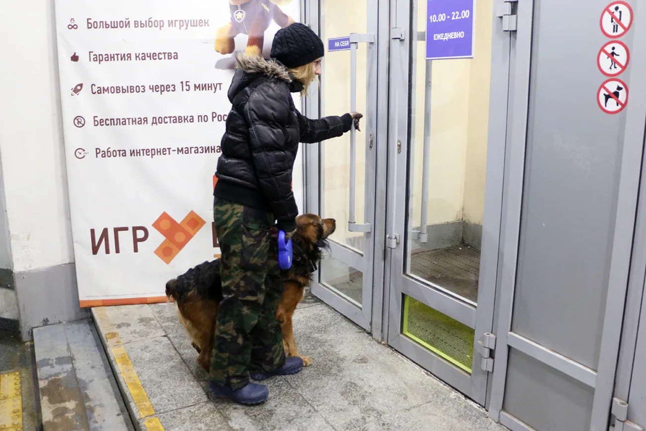 Куди в Казані пускають з великими вихованцями собака тестує метро, таксі, кафе і готель (новини казани) Куди в Казані пускають з великими вихованцями собака тестує метро, таксі, кафе і готель
