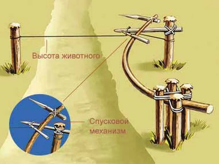 Пастки будинку своїми руками для людей (пастки будинку своїми руками для людей) Пастки будинку своїми руками для людей