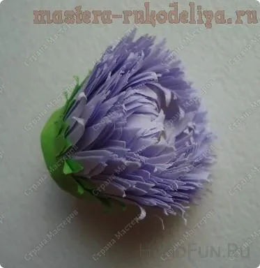 Майстер-клас по квілінгу айстри (айстри) Майстер-клас по квілінгу айстри