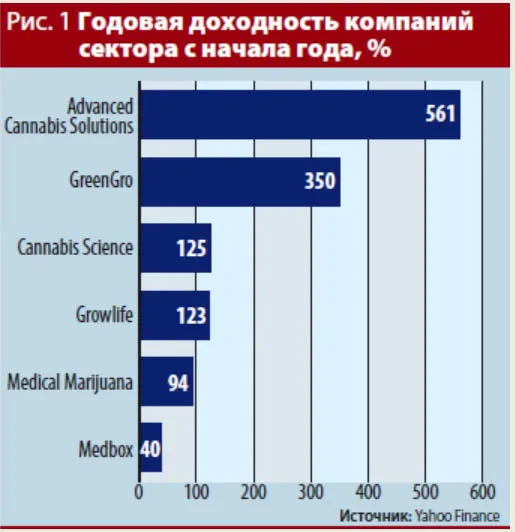 Марихуана як прибутковий бізнес (оцінка бізнесу) Марихуана як прибутковий бізнес