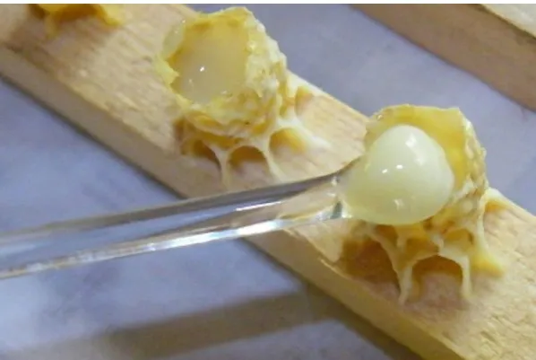 Маточне молочко, зітру