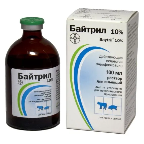 Міксоматозу кроликів - симптоми і лікування в домашніх умовах (миксоматоз) Міксоматозу кроликів - симптоми і лікування в домашніх умовах