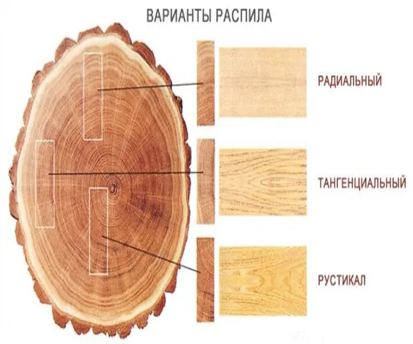 Механічна обробка деревини методом розпилювання, шліфування, стругання, використовувані для цього (розпилювання) Механічна обробка деревини методом розпилювання, шліфування, стругання, використовувані для цього