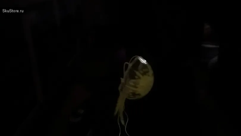 Медуза для акваріума