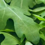 Чи можна замінити вершки сметаною є відповідь! (Замінити) Чи можна замінити вершки сметаною є відповідь!