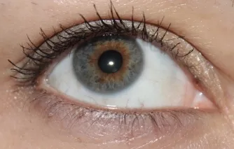 Моделююча туш для вій model mascara від beyu - відгуки, фото і ціна (туш) Моделююча туш для вій model mascara від beyu - відгуки, фото і ціна