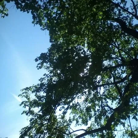 Молитва матері, микола шалатовскій, християнські вірші (матері) Молитва матері, микола шалатовскій, християнські вірші