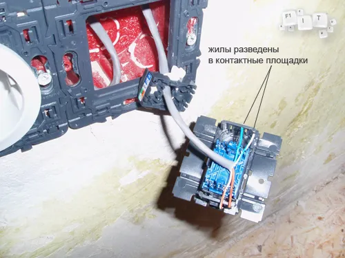 Монтаж комп'ютерної розетки legrand, f1-it (життя сайту) Монтаж комп'ютерної розетки legrand, f1-it