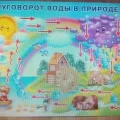 Спостереження за комахами