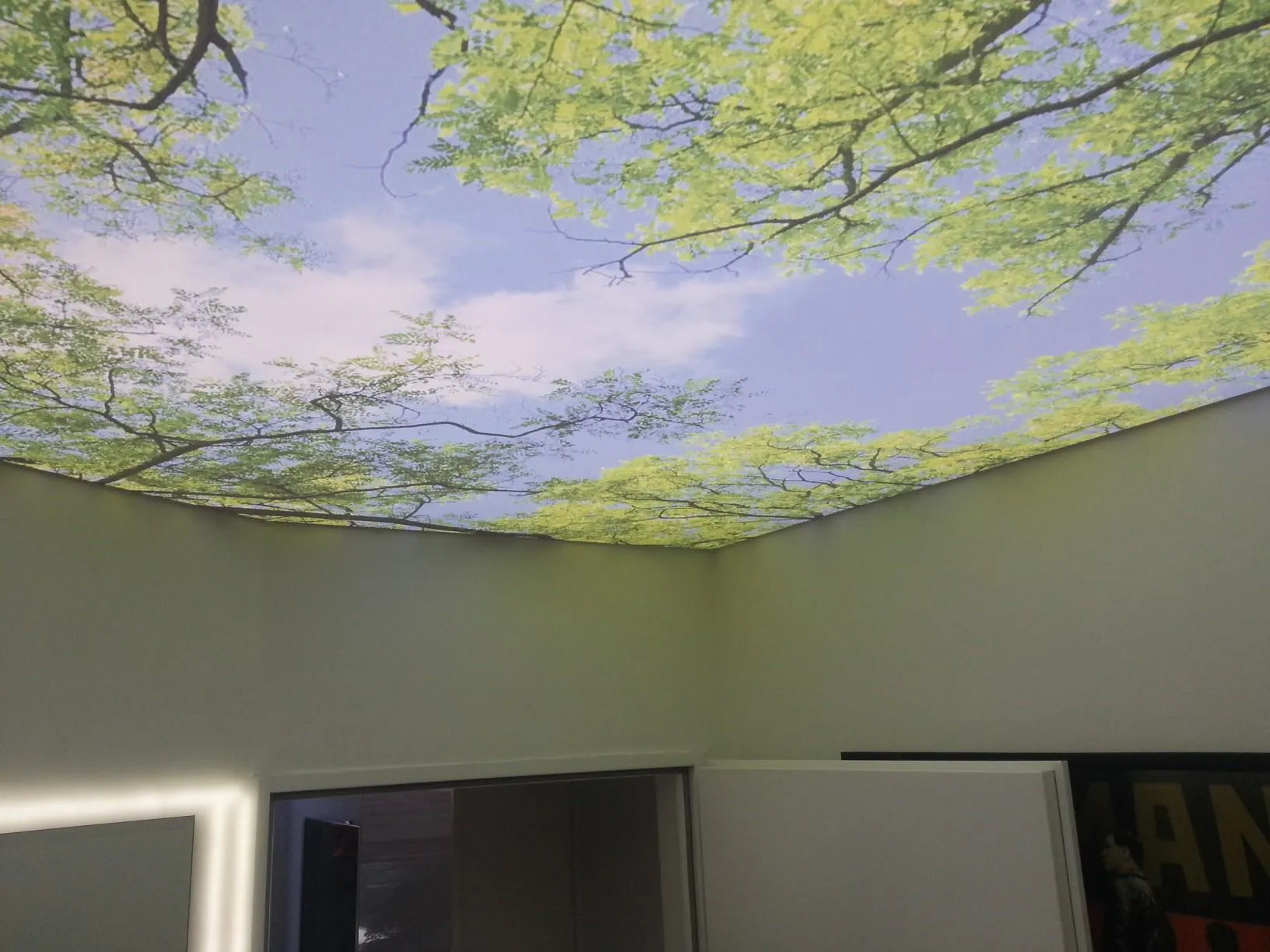 Натяжні стелі 3d все про полотнах з тривимірною фотодруком! (Стелі) Натяжні стелі 3d все про полотнах з тривимірною фотодруком!
