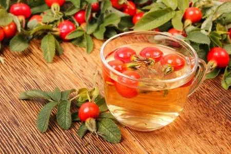 Настій шипшини користь і шкода, інструкція із застосування (настій) Настій шипшини користь і шкода, інструкція із застосування