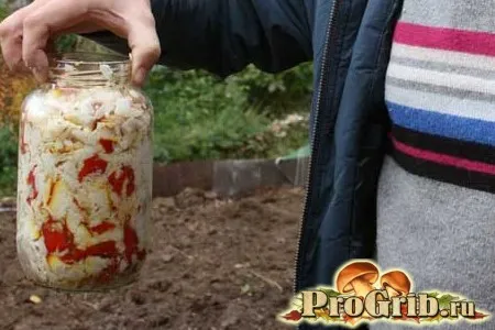 Настоянка мухомора властивості, приготування та методика застосування, рецепт з горілки