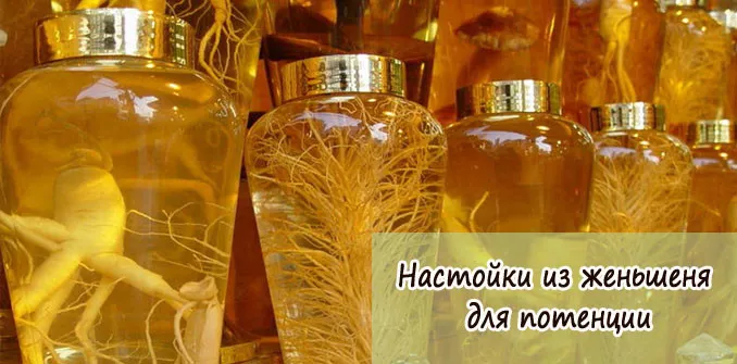 Настоянка женьшеню для потенції як приймати і готувати (настоянка) Настоянка женьшеню для потенції як приймати і готувати