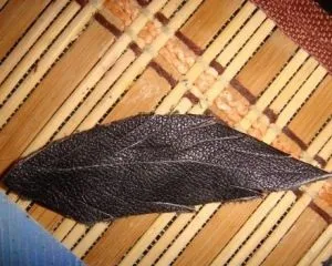 Брошки зі шкіри