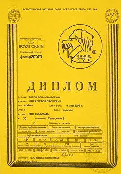 Офіційна інформація