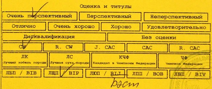 Офіційна інформація