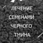 Особливості лікування насінням чорного кмину (насіння чорного кмину) Особливості лікування насінням чорного кмину