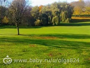 Про життя в Англії плюси і мінуси (о) Про життя в Англії плюси і мінуси