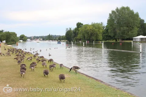 Про життя в Англії плюси і мінуси (Англії :) Про життя в Англії плюси і мінуси