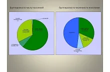 Перспективи рубля як регіональної валюти (рубля регіональної валюти) Перспективи рубля як регіональної валюти