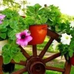 Вироби з шин своїми руками для саду та городу, картинки і фото (саду) Вироби з шин своїми руками для саду та городу, картинки і фото