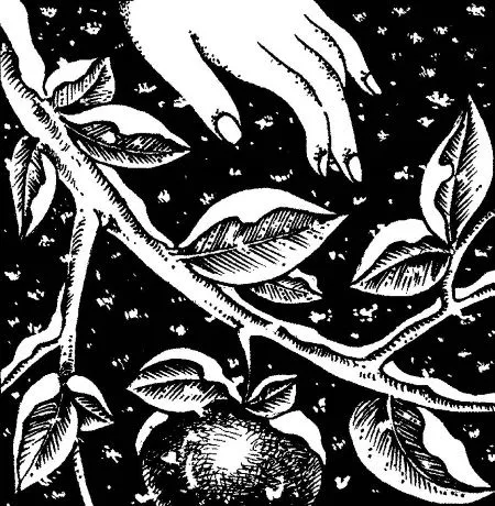 Чому на озерах лежить туман (озерах лежить туман) Чому на озерах лежить туман