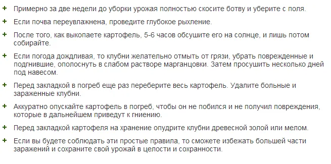 Чому гниє картопля в погребі, в овочевий ямі при зберіганні як боротися (картопля. Гниття) Чому гниє картопля в погребі, в овочевий ямі при зберіганні як боротися