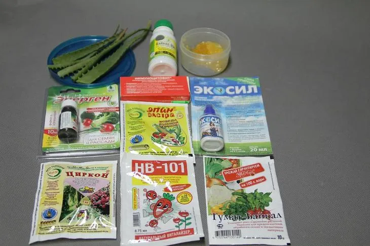 Підготовка до посіву, або як підвищити схожість насіння (посіву) Підготовка до посіву, або як підвищити схожість насіння
