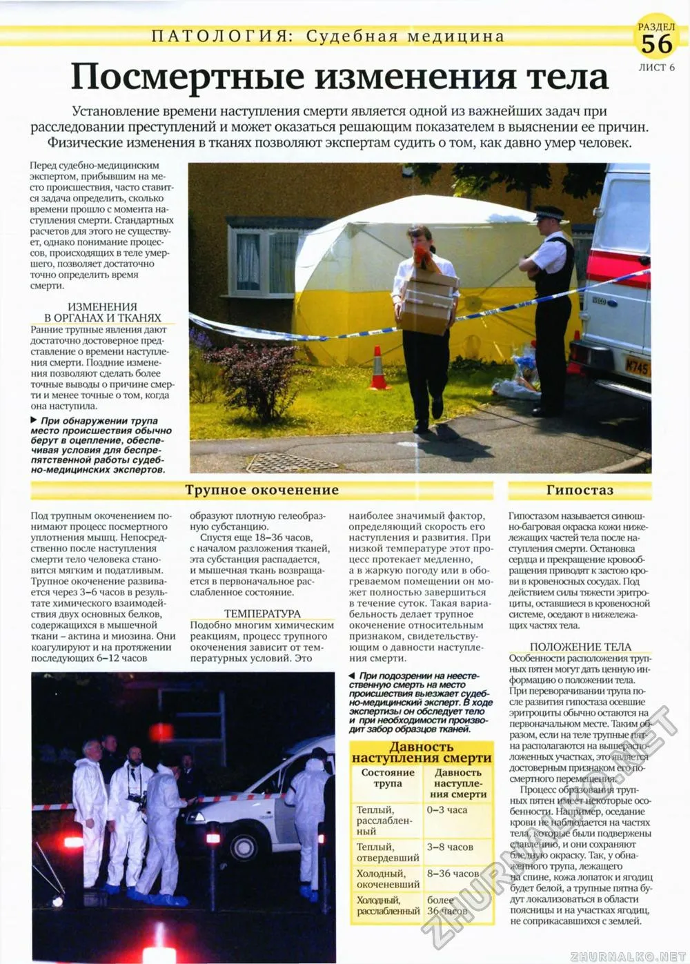Посмертні зміни тіла розділ - тіло людини №89, сторінка 11