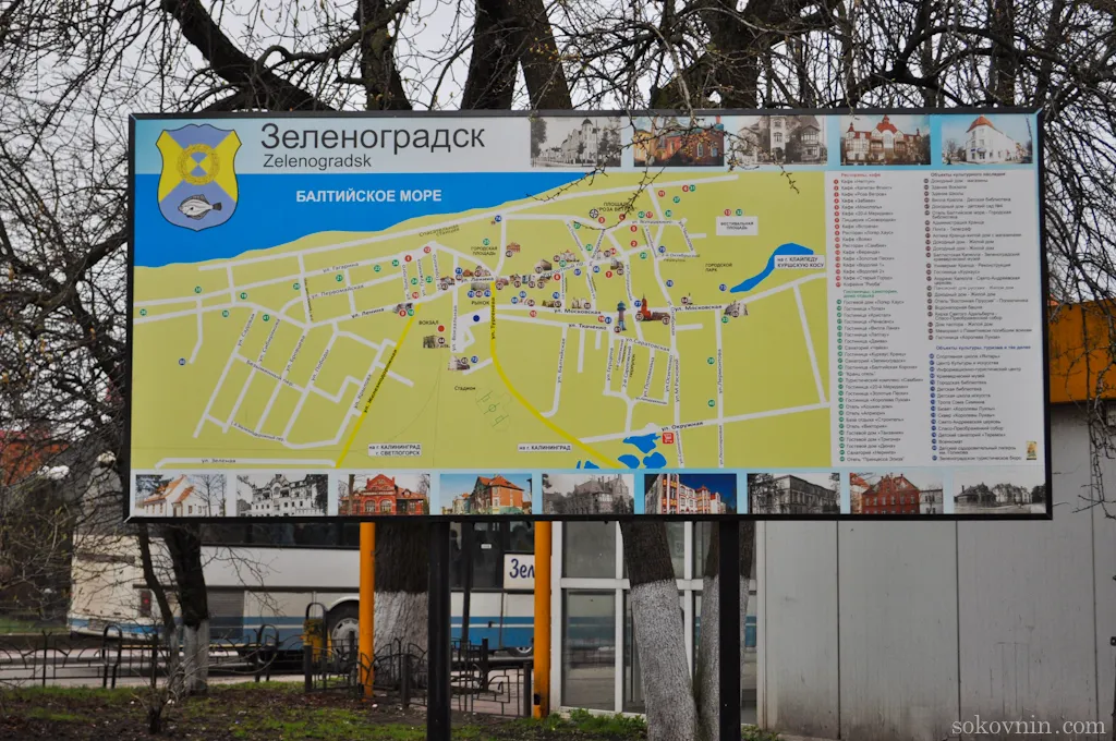 Поїздка на Куршськую косу - танцюючий ліс і дюна ефа, самостійні подорожі і заробіток в (косу) Поїздка на Куршськую косу - танцюючий ліс і дюна ефа, самостійні подорожі і заробіток в
