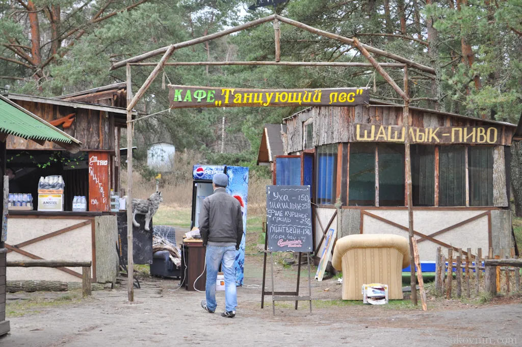 Поїздка на Куршськую косу - танцюючий ліс і дюна ефа, самостійні подорожі і заробіток в (дюна) Поїздка на Куршськую косу - танцюючий ліс і дюна ефа, самостійні подорожі і заробіток в