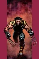 Повна біографія росомахи (частина 1) - wolverine info - сайт про росомасі (повна) Повна біографія росомахи (частина 1) - wolverine info - сайт про росомасі
