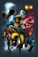 Повна біографія росомахи (частина 1) - wolverine info - сайт про росомасі (повна) Повна біографія росомахи (частина 1) - wolverine info - сайт про росомасі