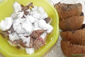 Користь і шкода кокоса, застосування ефірного масла кокоса (масла) Користь і шкода кокоса, застосування ефірного масла кокоса