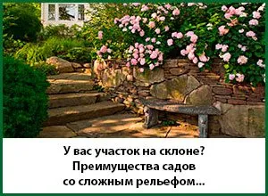 Посадка дерев