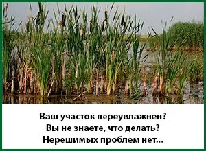 Посадка дерев