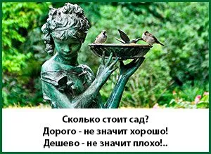 Посадка дерев