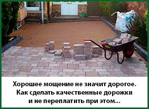 Посадка дерев