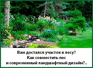 Посадка дерев