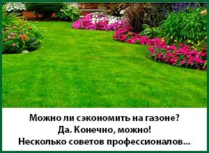 Посадка дерев