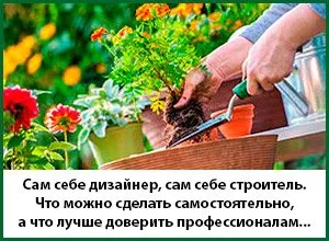 Посадка дерев