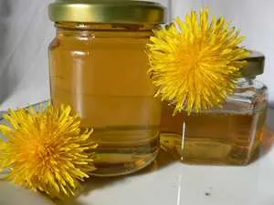 Користь і шкода варення з кульбаб (Всього одна ложка) Користь і шкода варення з кульбаб