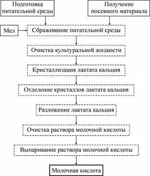 Отримання молочної кислоти - технологія харчових кислот і оцту (кислоти) Отримання молочної кислоти - технологія харчових кислот і оцту
