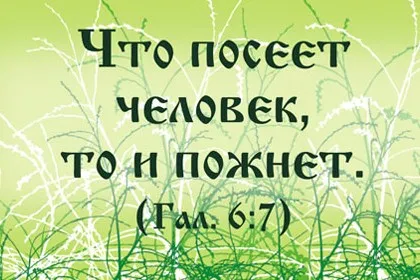 Прислів'я «що посієш, те й пожнеш», як відображення головного закону життя